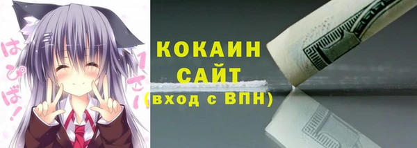 шишки Абинск